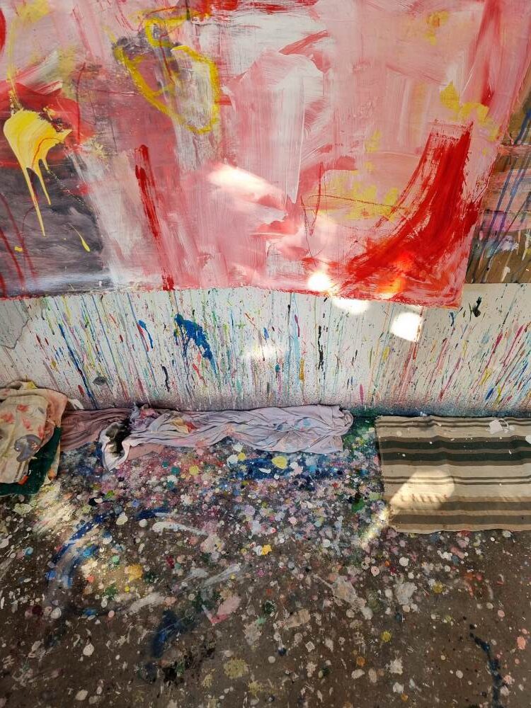 michelle hallett studio